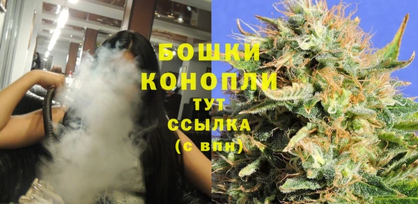 индика Белоозёрский