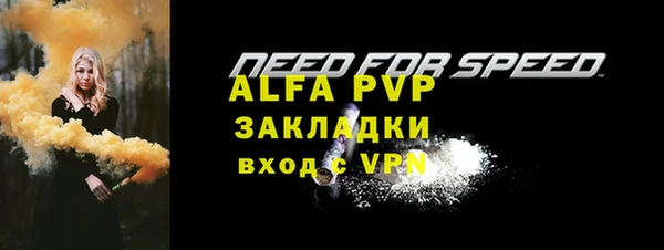 индика Белоозёрский