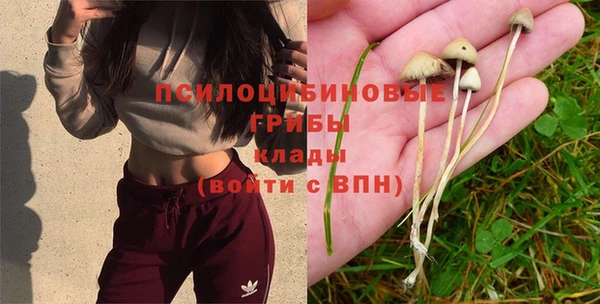 индика Белоозёрский