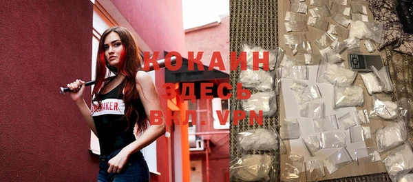 индика Белоозёрский