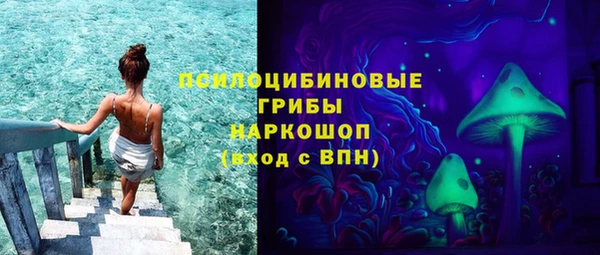 винт Белокуриха