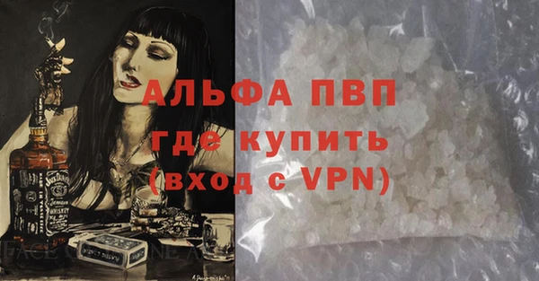 индика Белоозёрский