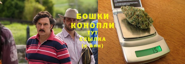 индика Белоозёрский